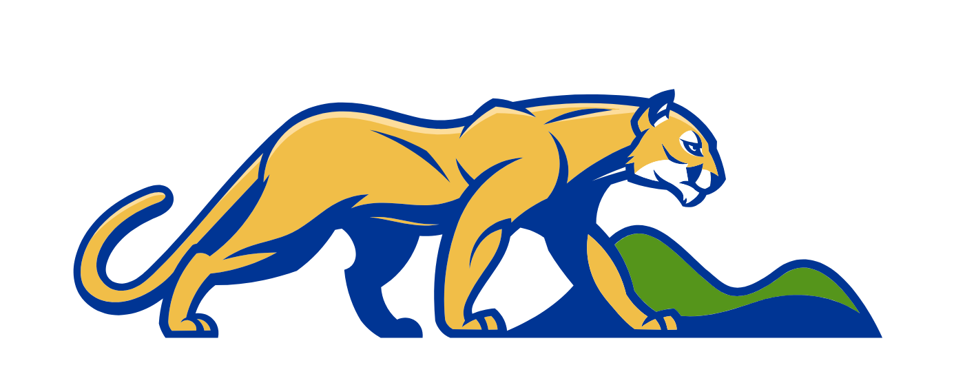 San Juan Mountain Lions