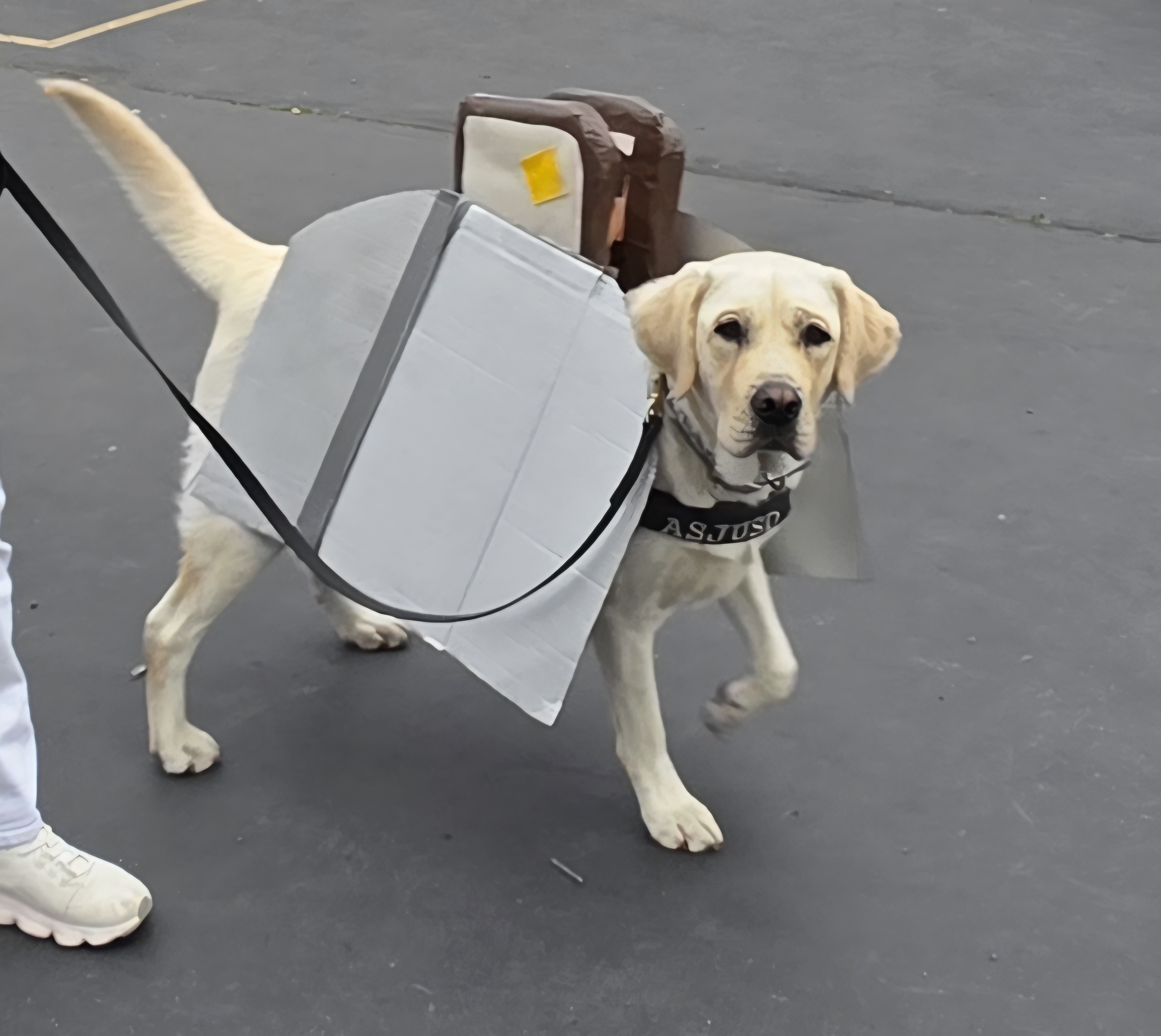 Toaster on Halloween