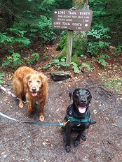 Two dogs in front of long trail sign. 