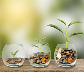 Plants growing through coin banks