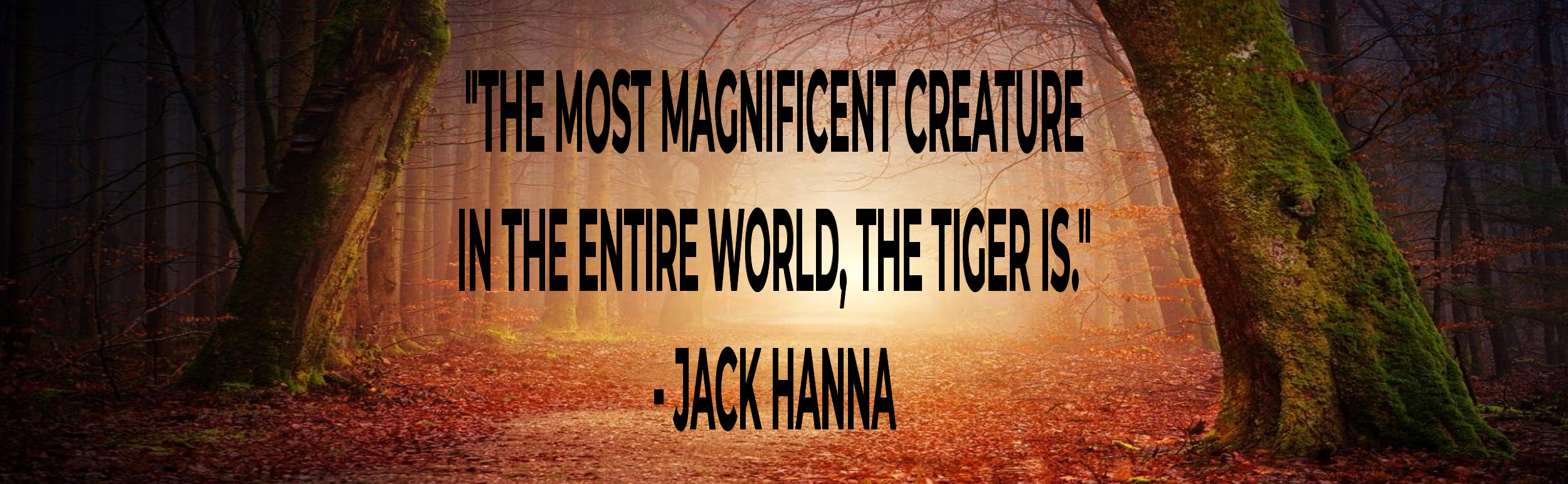Tiger Quote