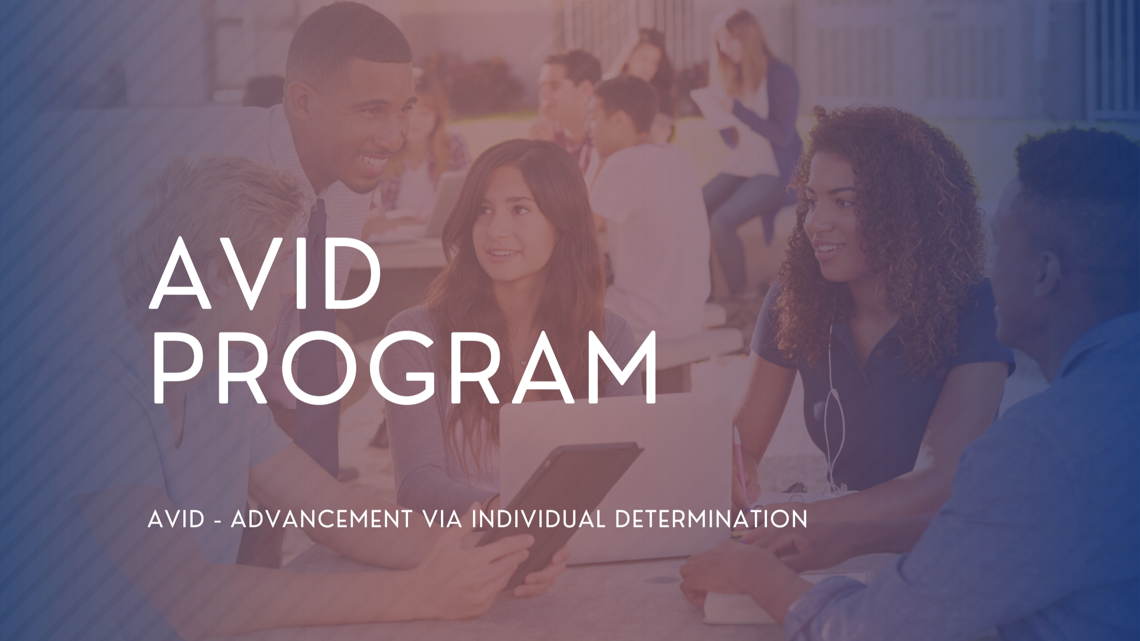 avid program