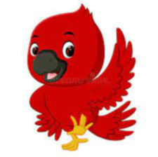 Young Cardinal Logo