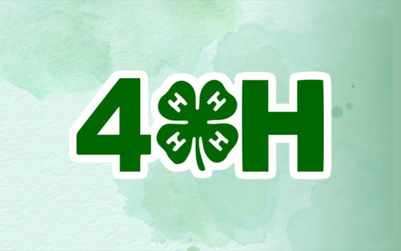4-H