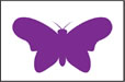 purple Butterfly 
