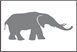grey elefant drawong