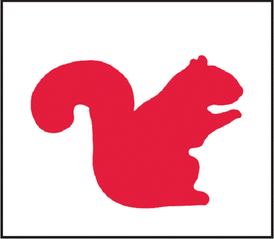 red squirrel drawing