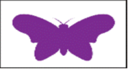 purple Butterfly 