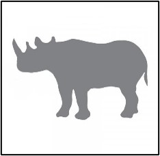 rhino  image