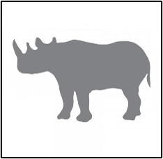 Rhino image