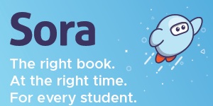 Sora The Right Book