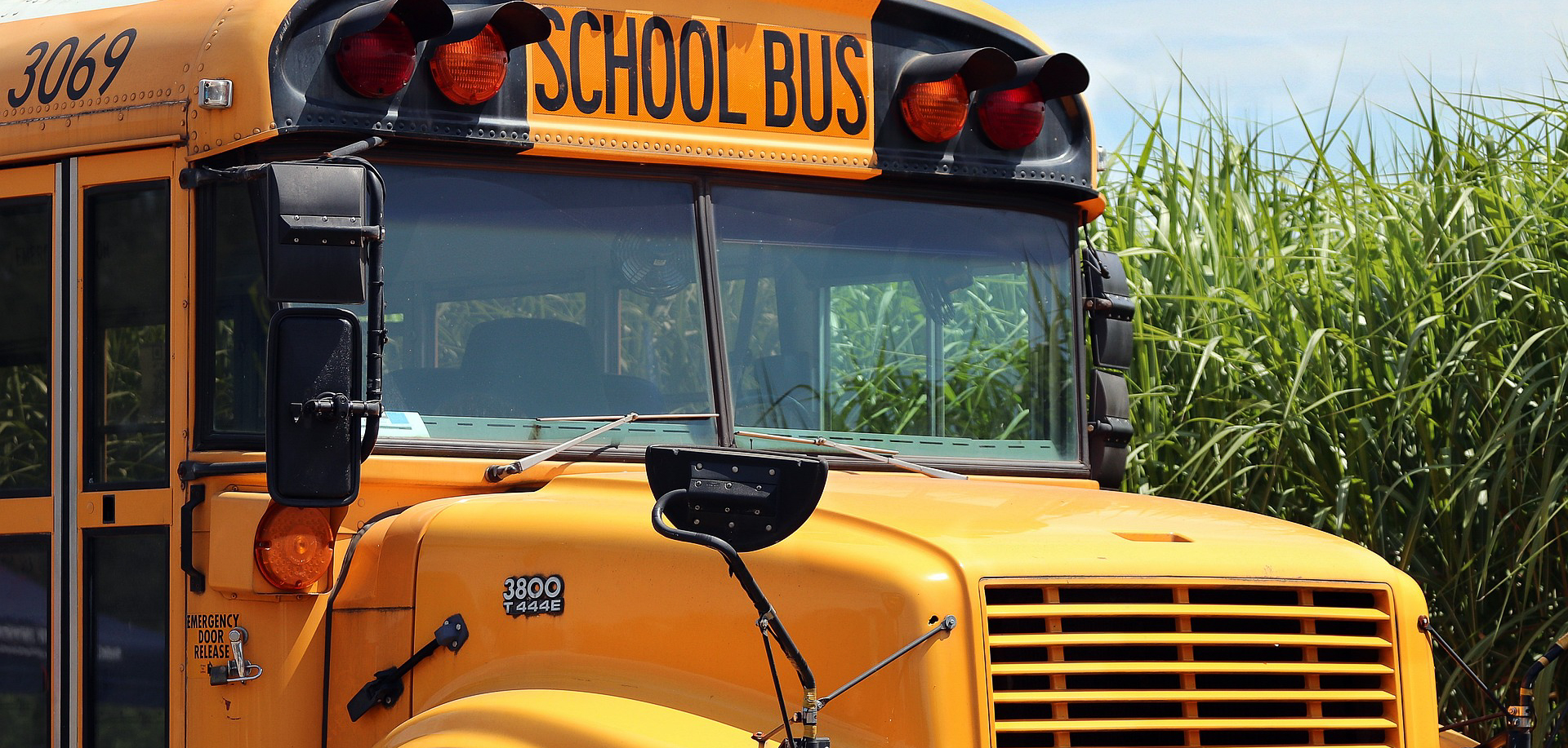 image of yellow school bus. Background is a blue ski with corn