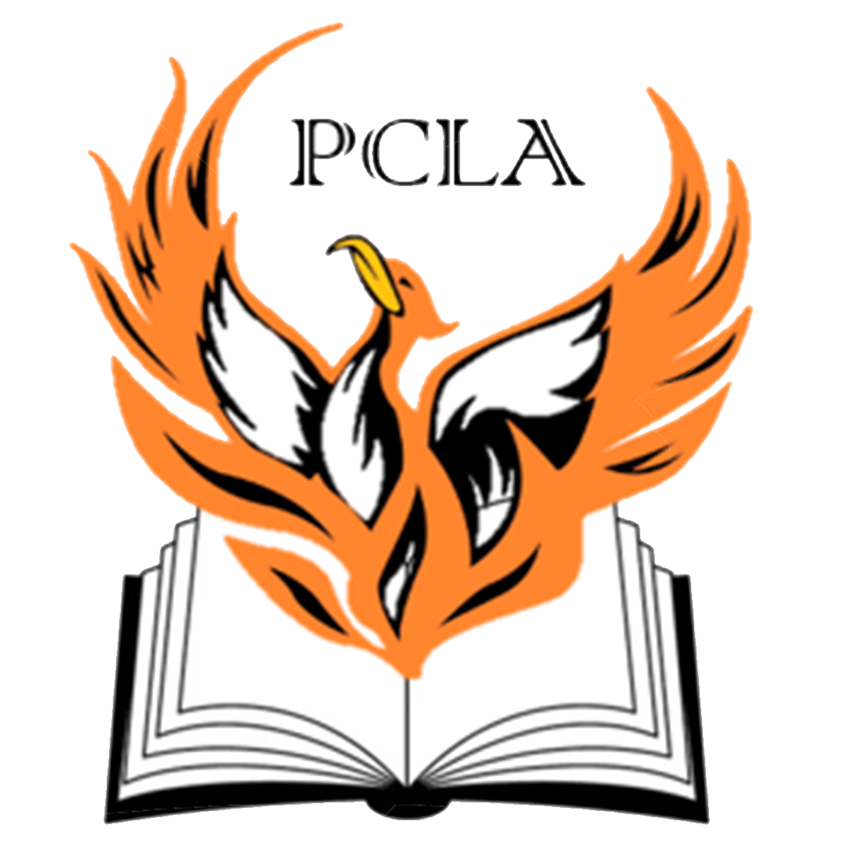 Staff Person County Learning Academy