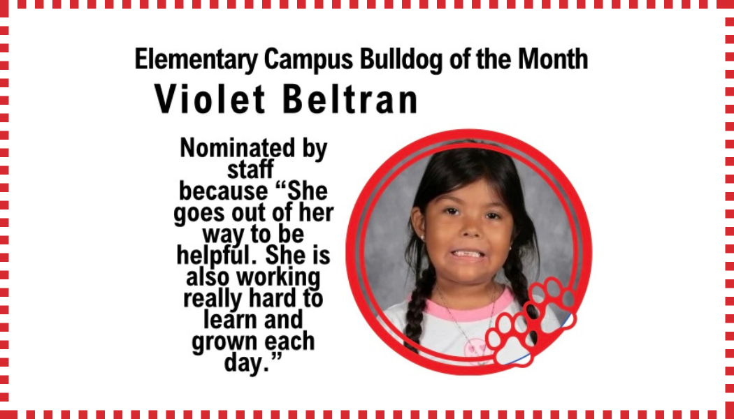 Bulldog of the Month