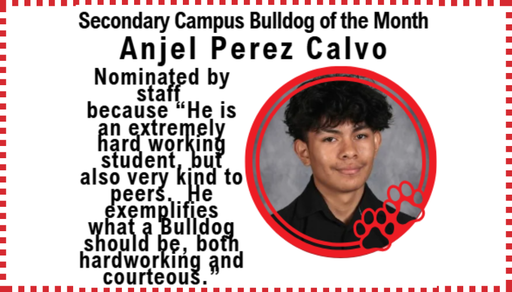 Bulldog of the Month