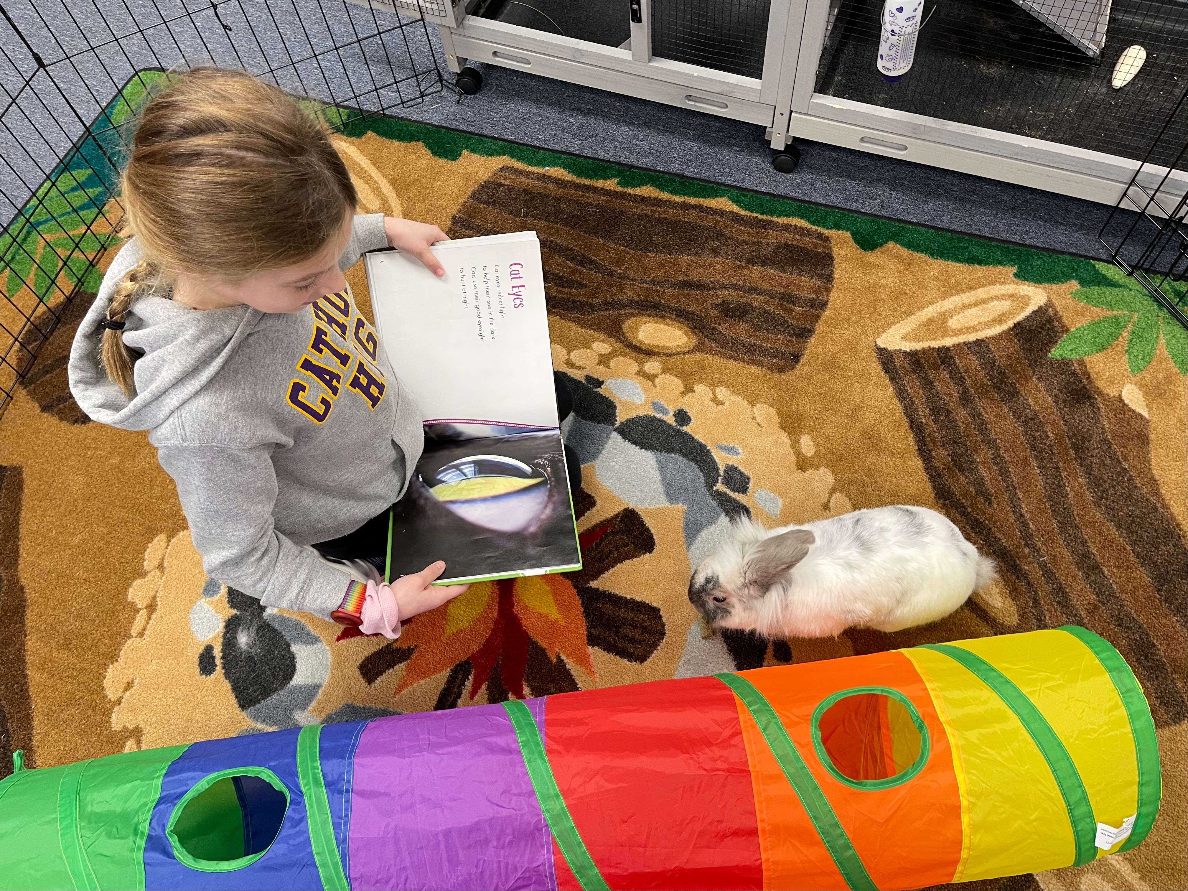 student reading to dewey the library bunny