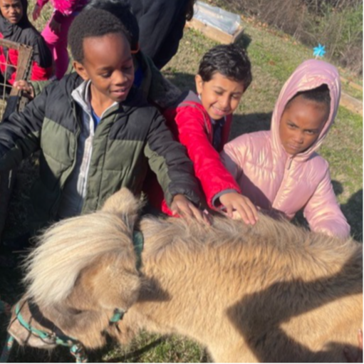 Students petting a pony