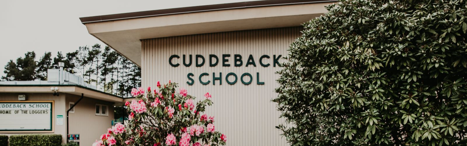 Front of Cuddeback School