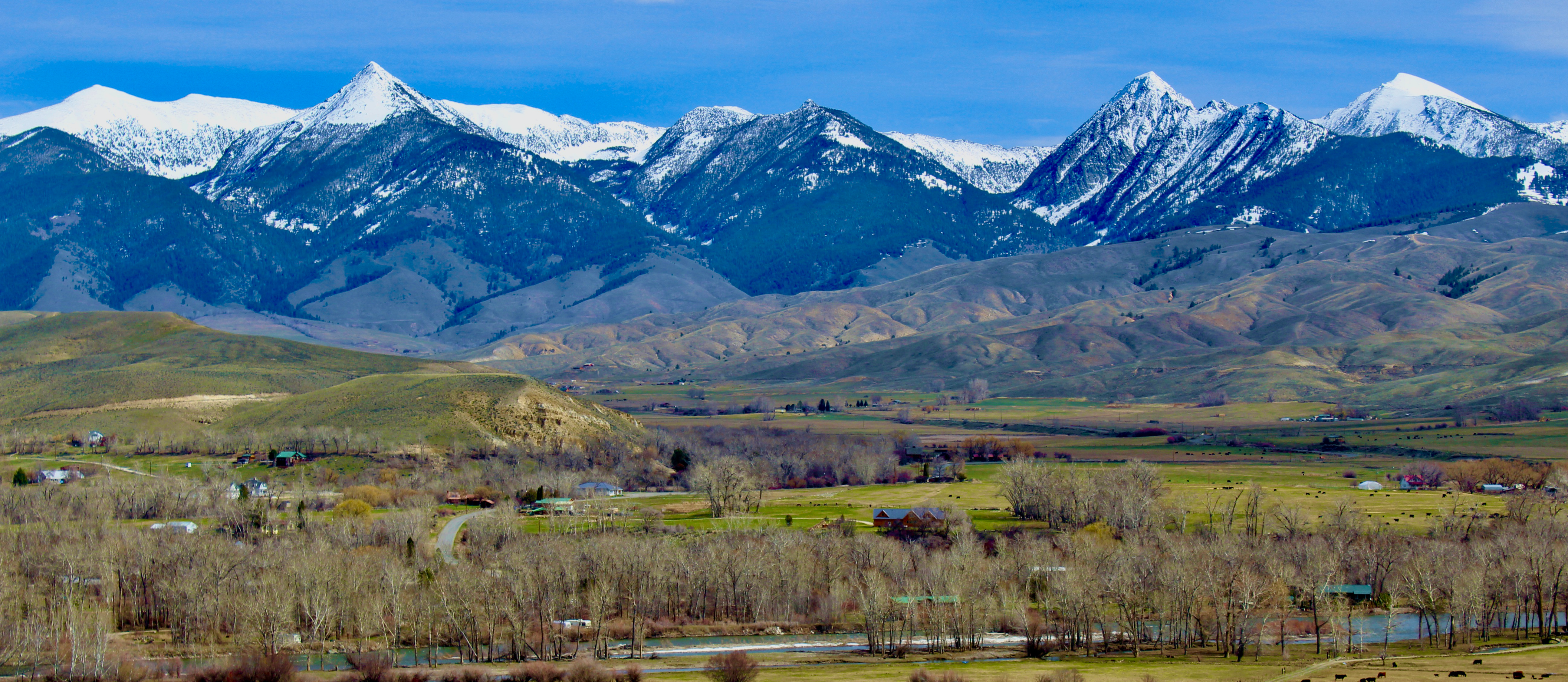 Picture of Mountains in Salmon Idaho