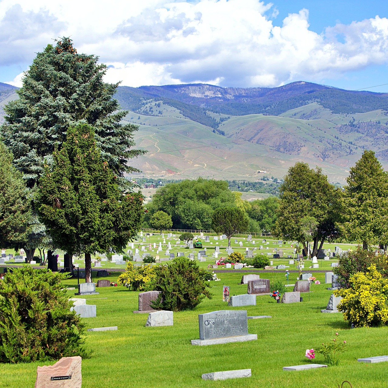 Photo of a cemetery