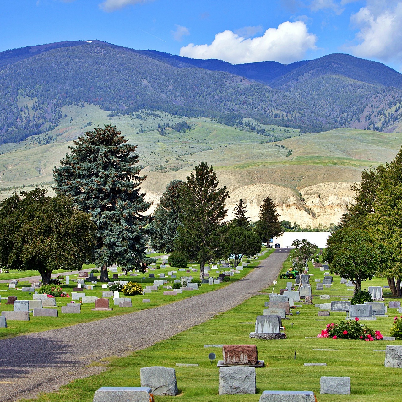 Photo of a cemetery