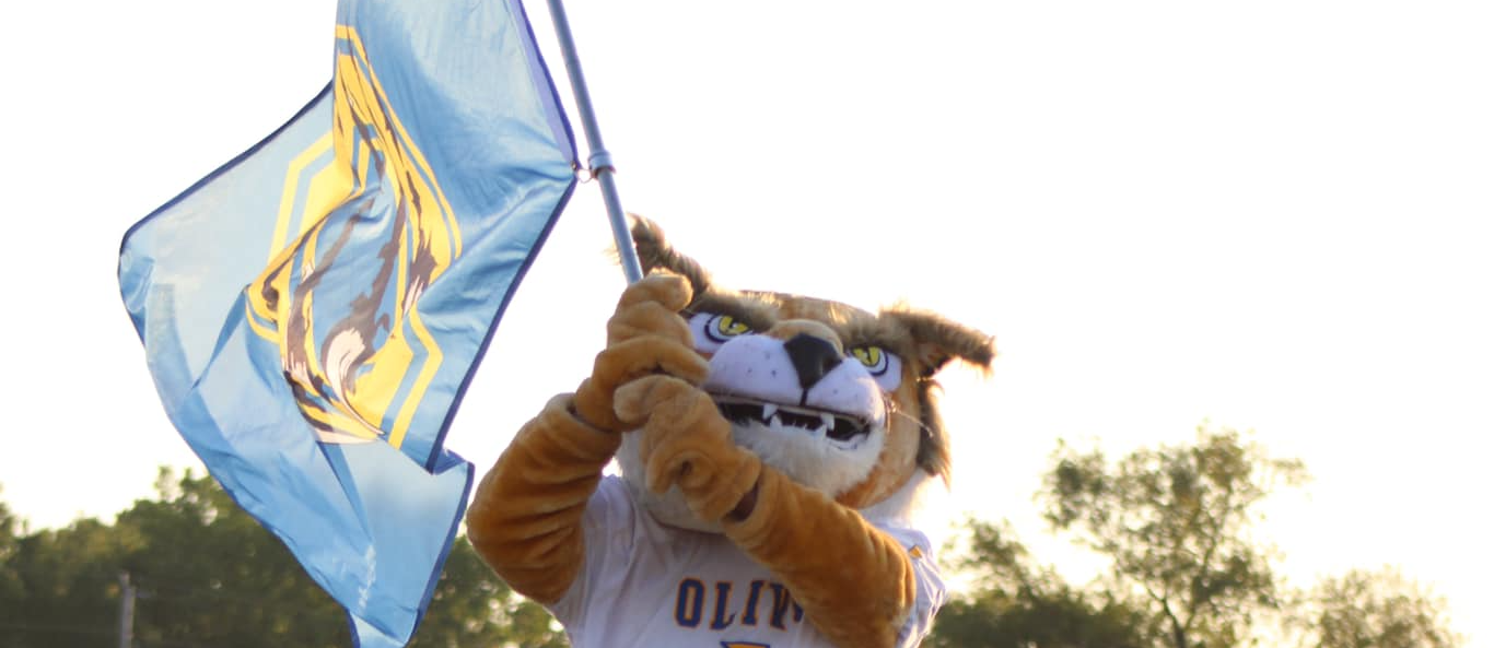#1 Wildcat