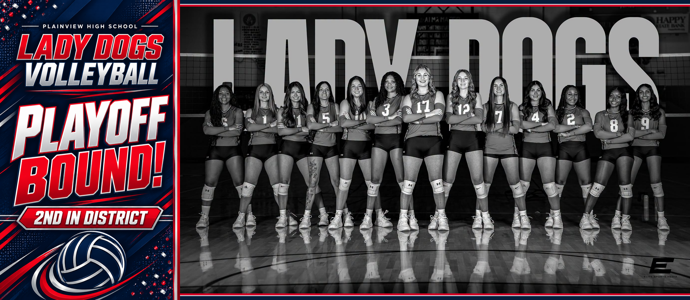Lady Dogs VBALL