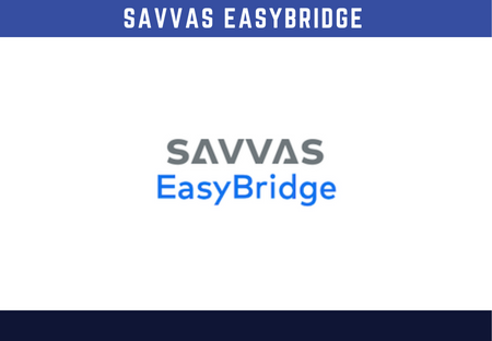 savvas bridge logo
