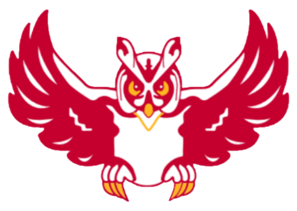 Owl Logo 156