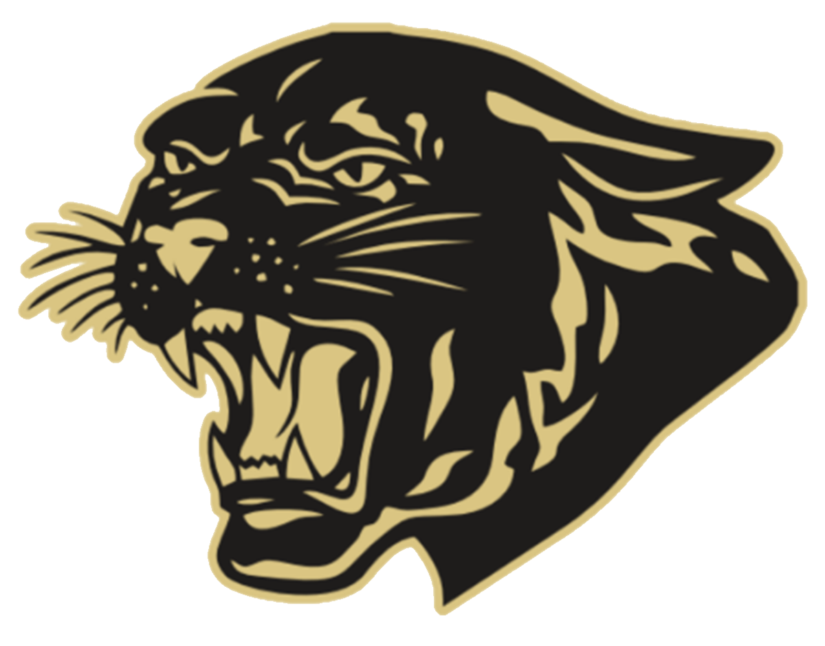 Panther Logo 309
