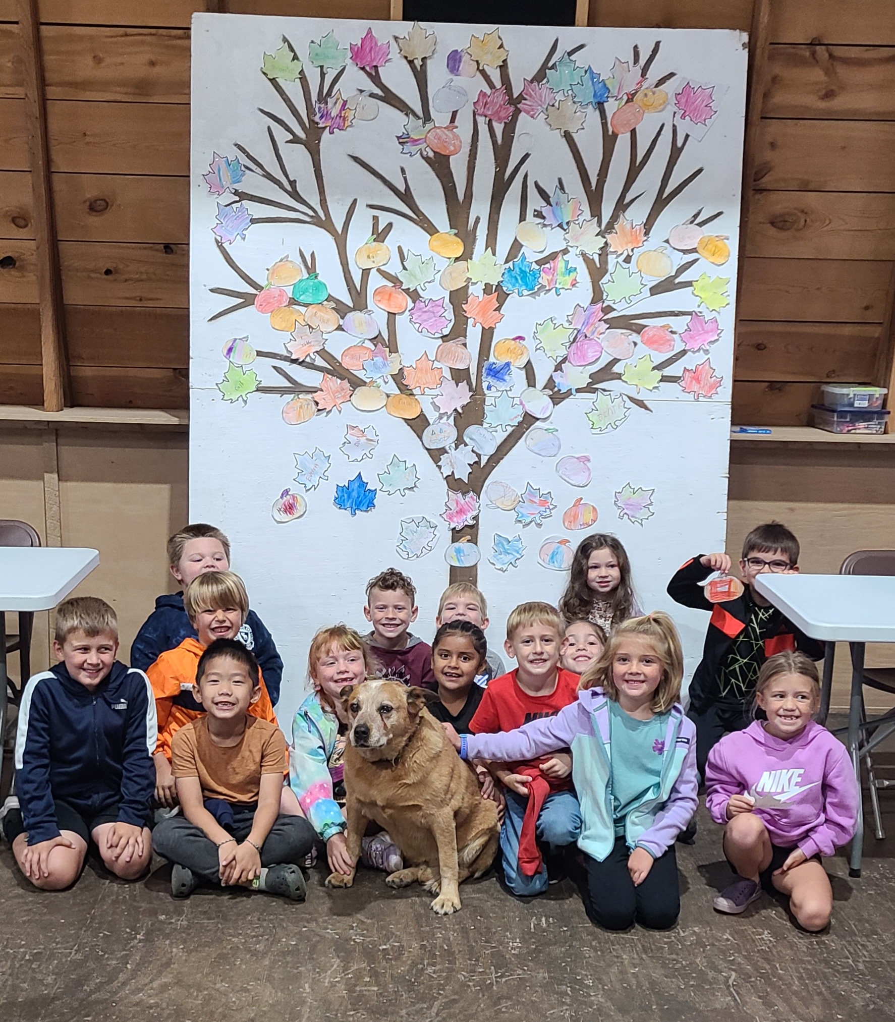 Buechler Farm  1st grade field trip