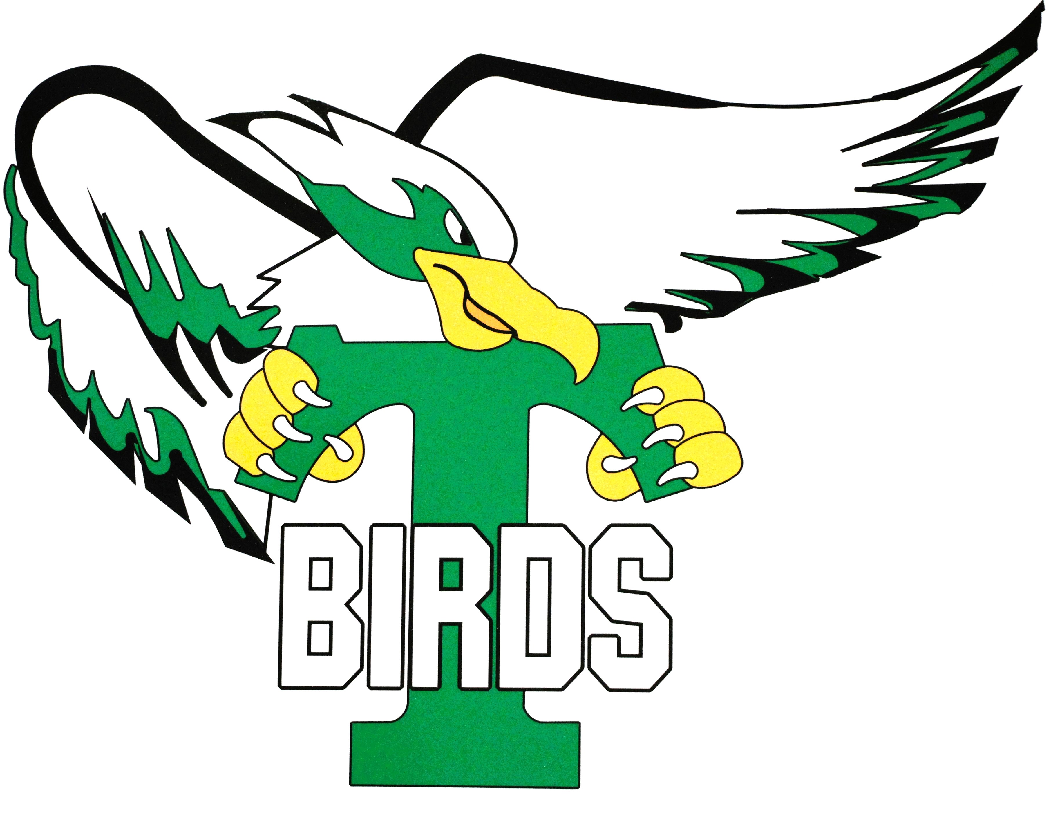 t birds logo