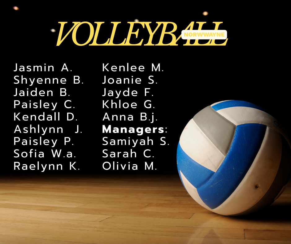 vb