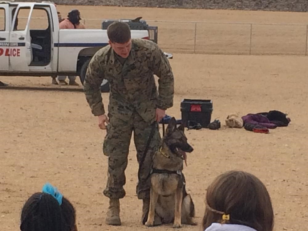 Marine Corp's K-9 unit showing off their dogs