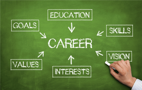 Career Path Board