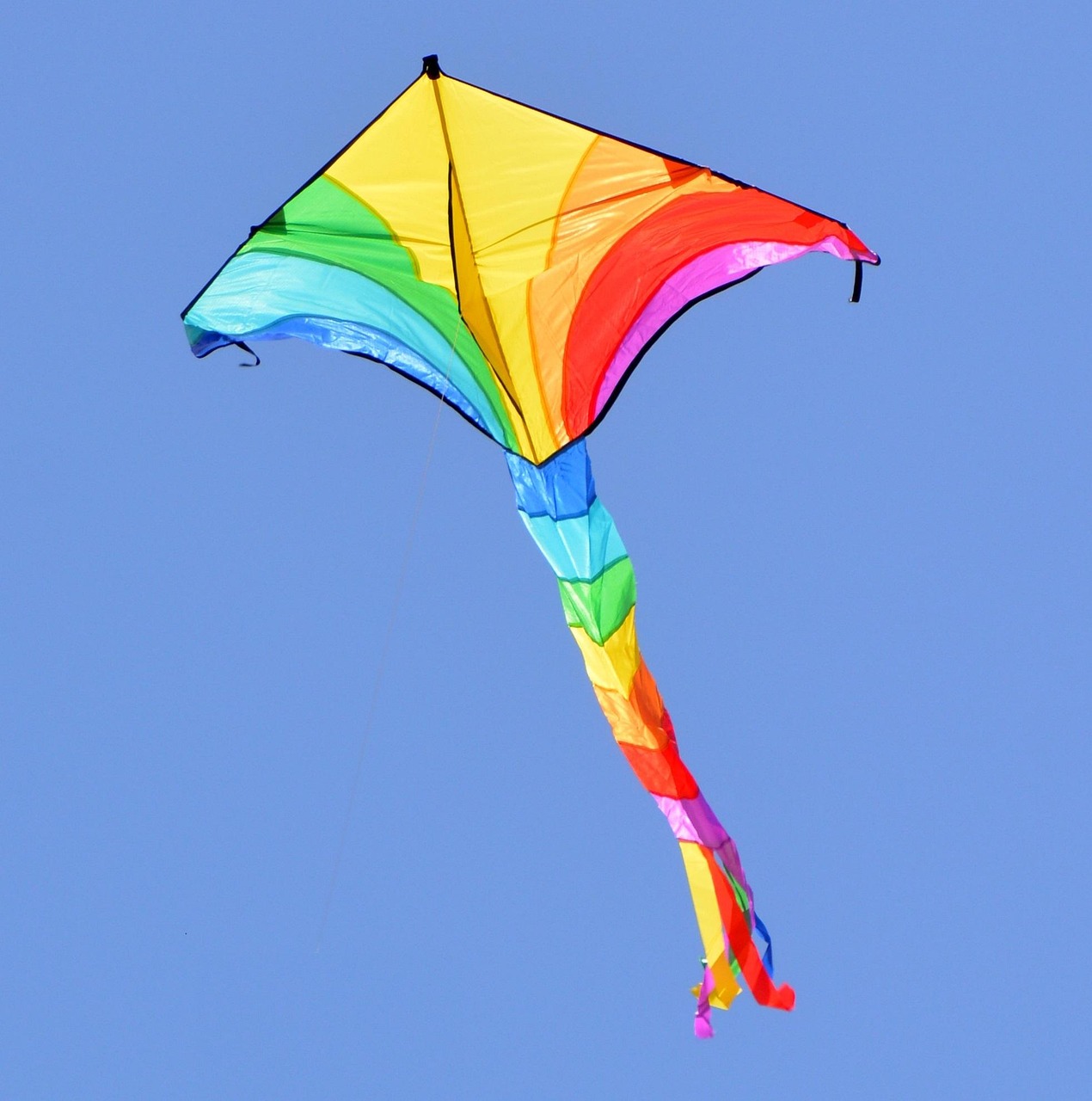 kite