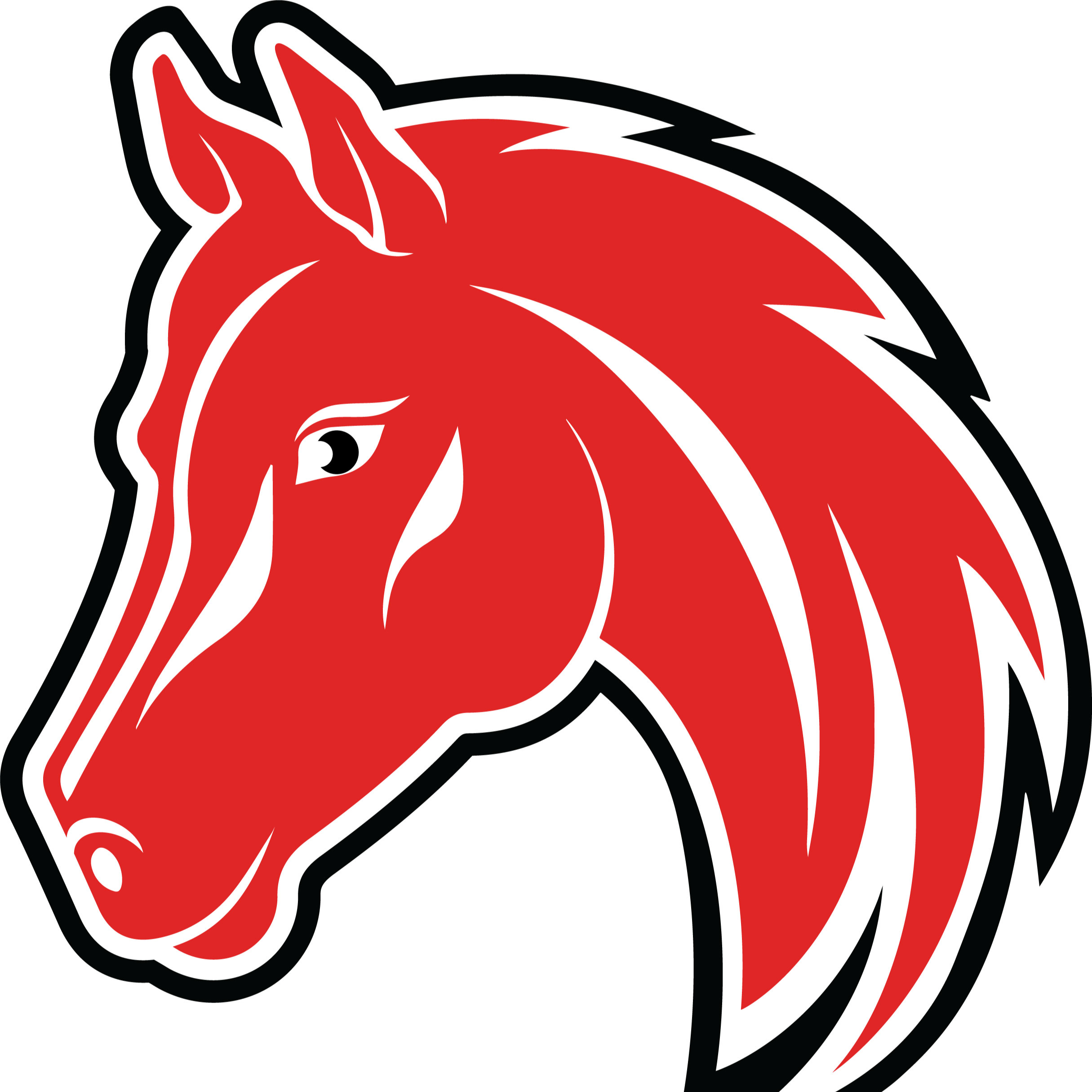 Stallion