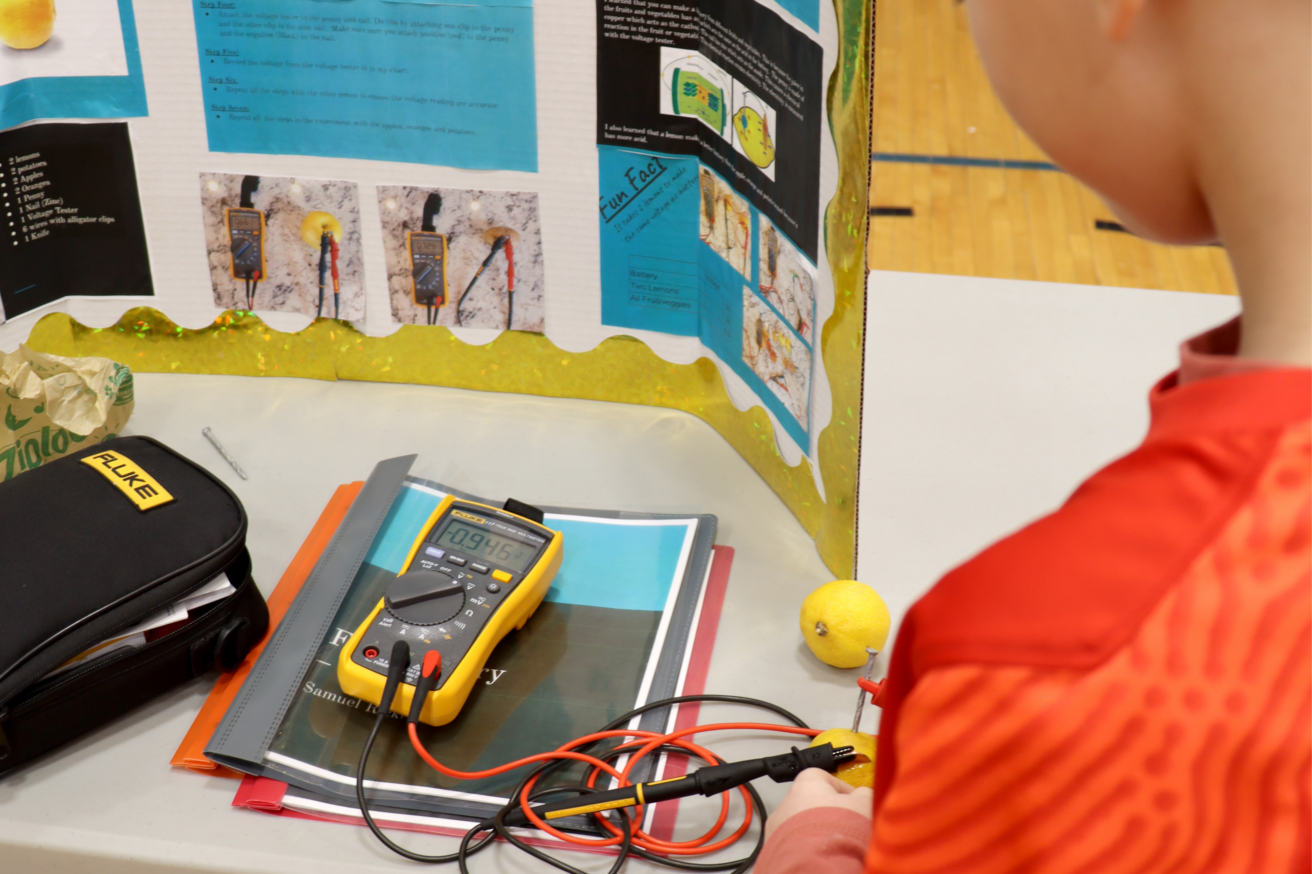 Student reviewing science fair project