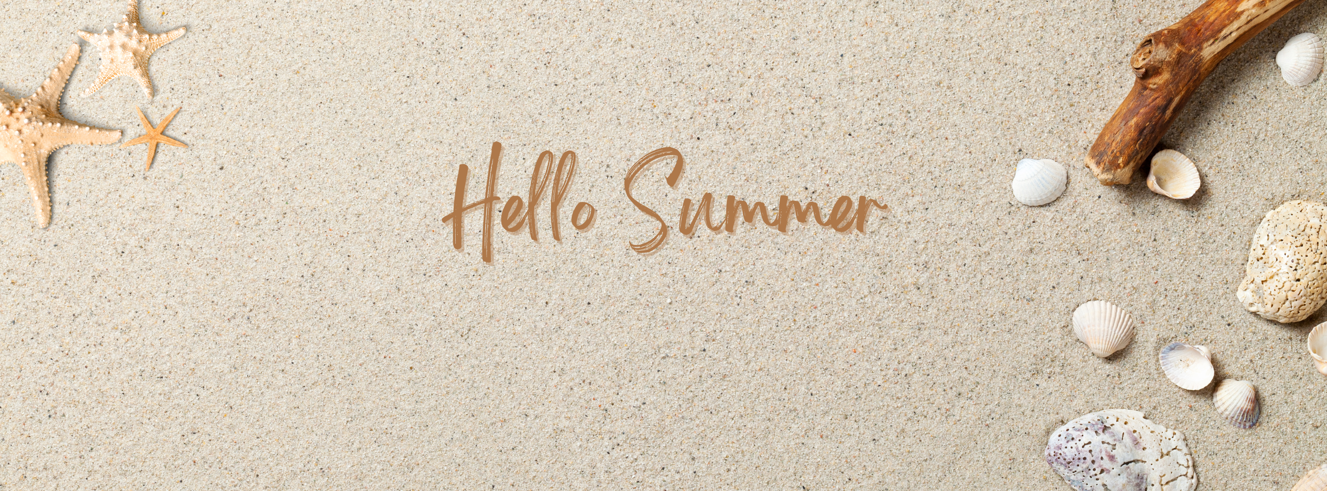 Sand and seashells with text that introduces summer.