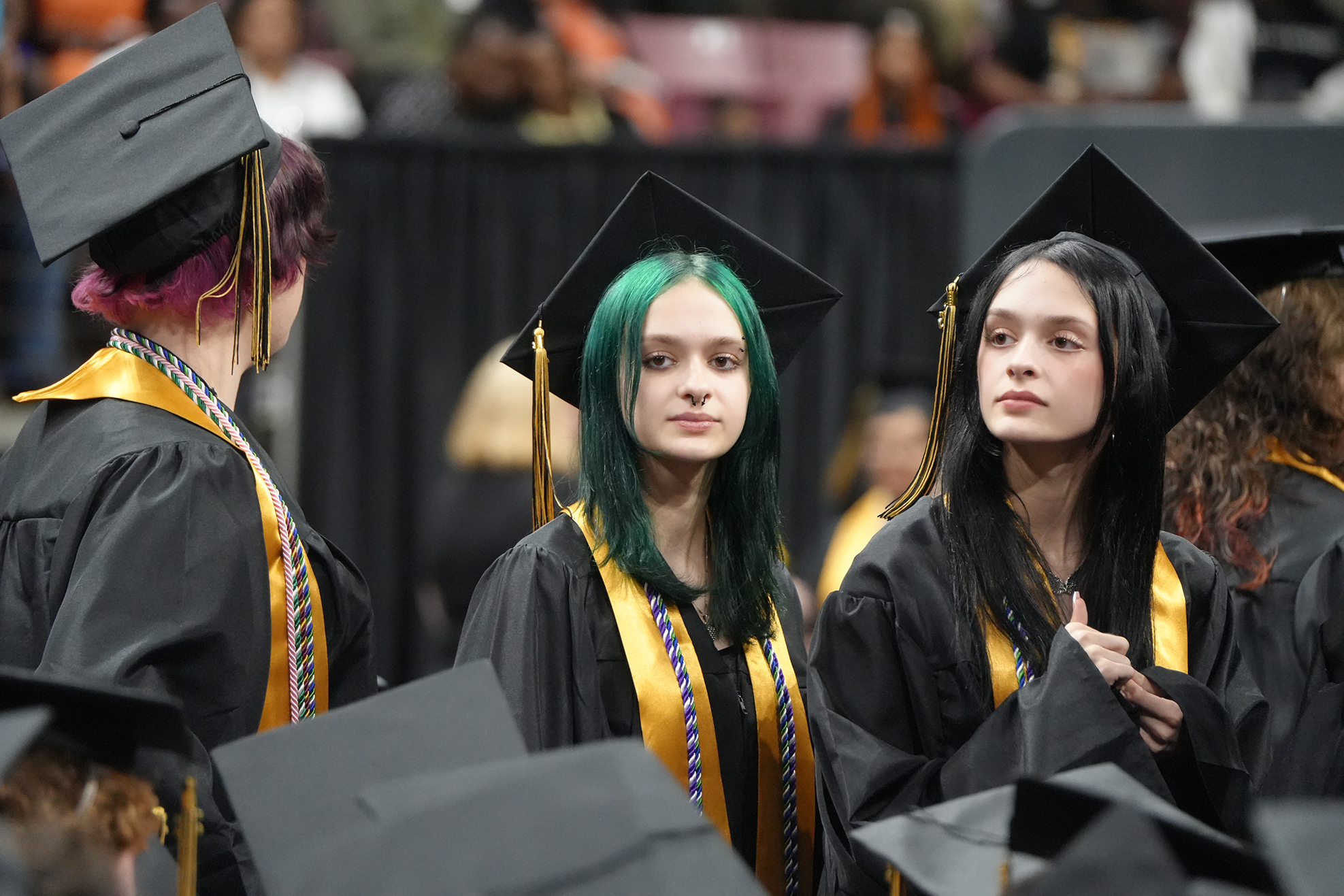 Several young adults in black gowns with gold sashes stand in a row at an indoor ceremony.