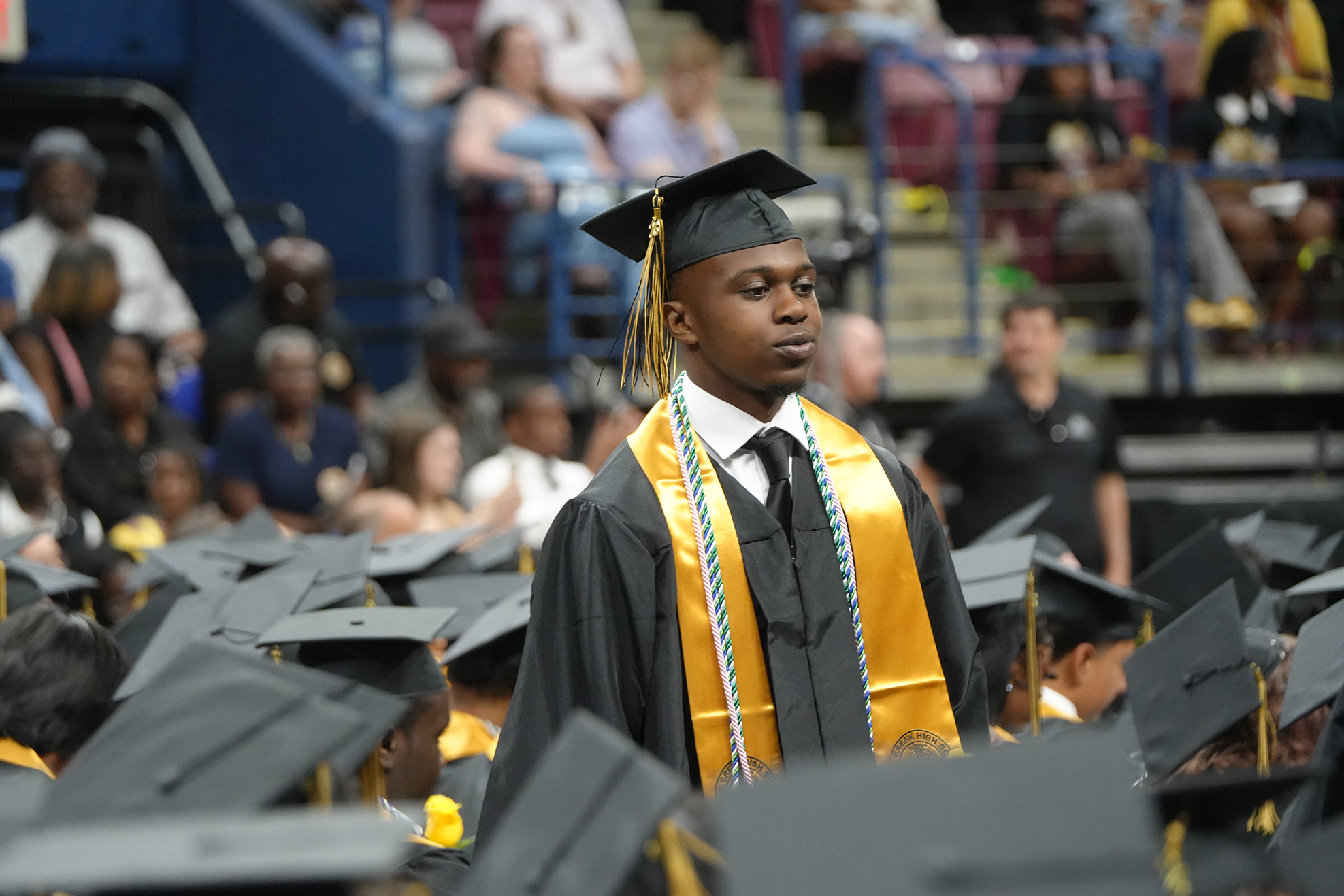 A student in a black gown and hat stands in a seated crowd, possibly at a graduation.