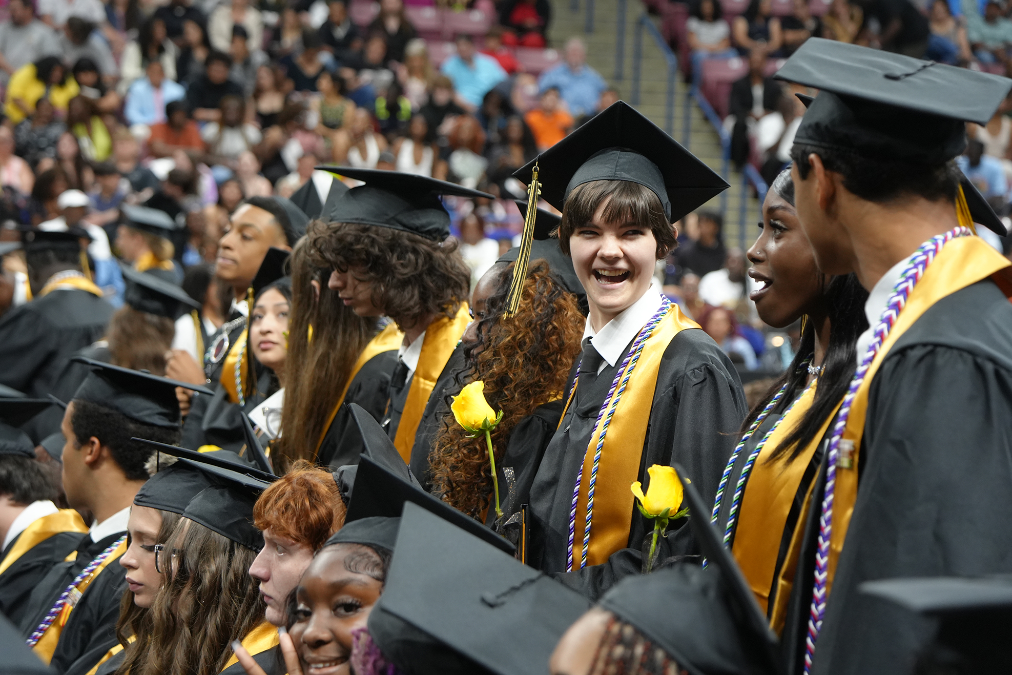 Graduates in caps and gowns stand among peers during a ceremony; some wear yellow flowers.
