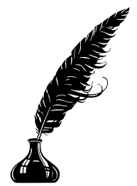 black feather in black in