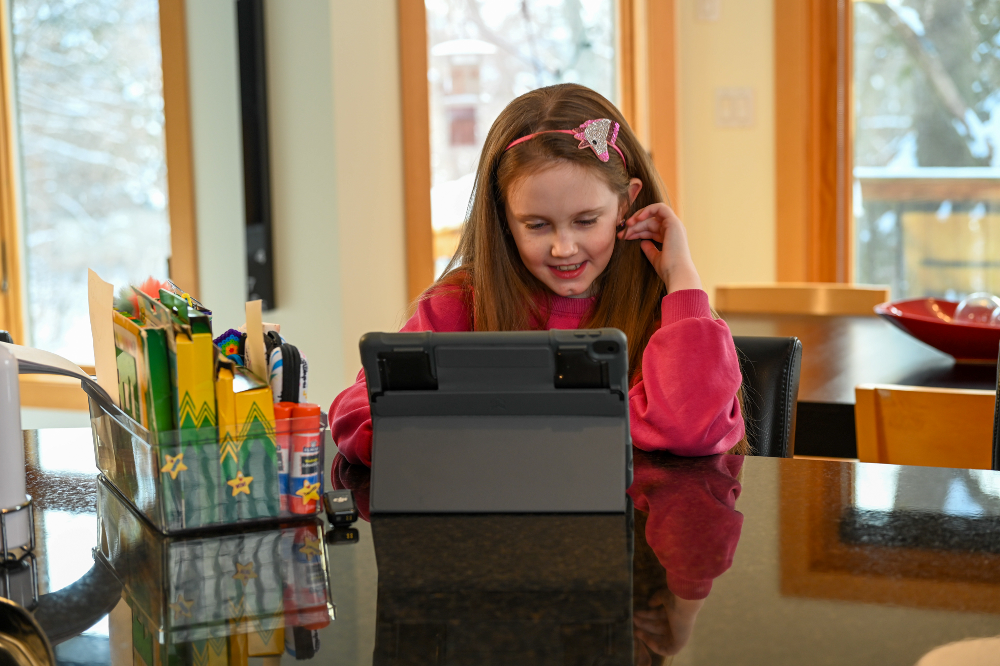 MNSync Online student learning at her device