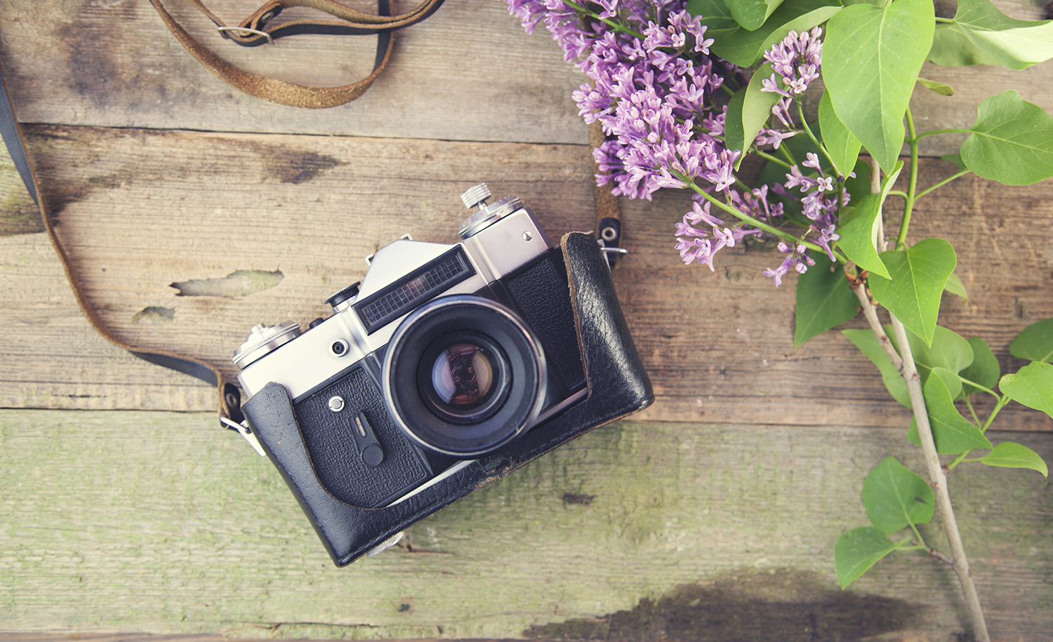Camera on a wooden table with purple flowers