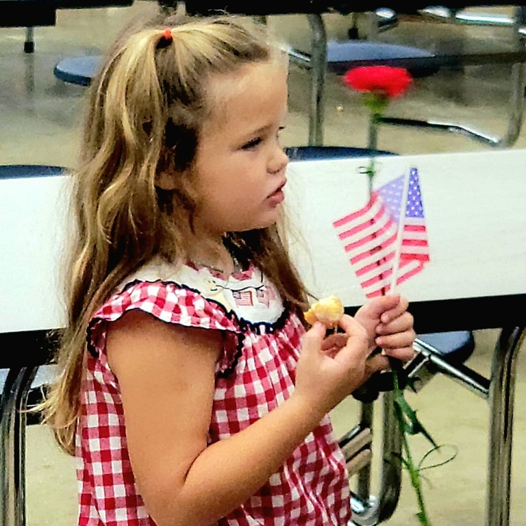 veterans day picture