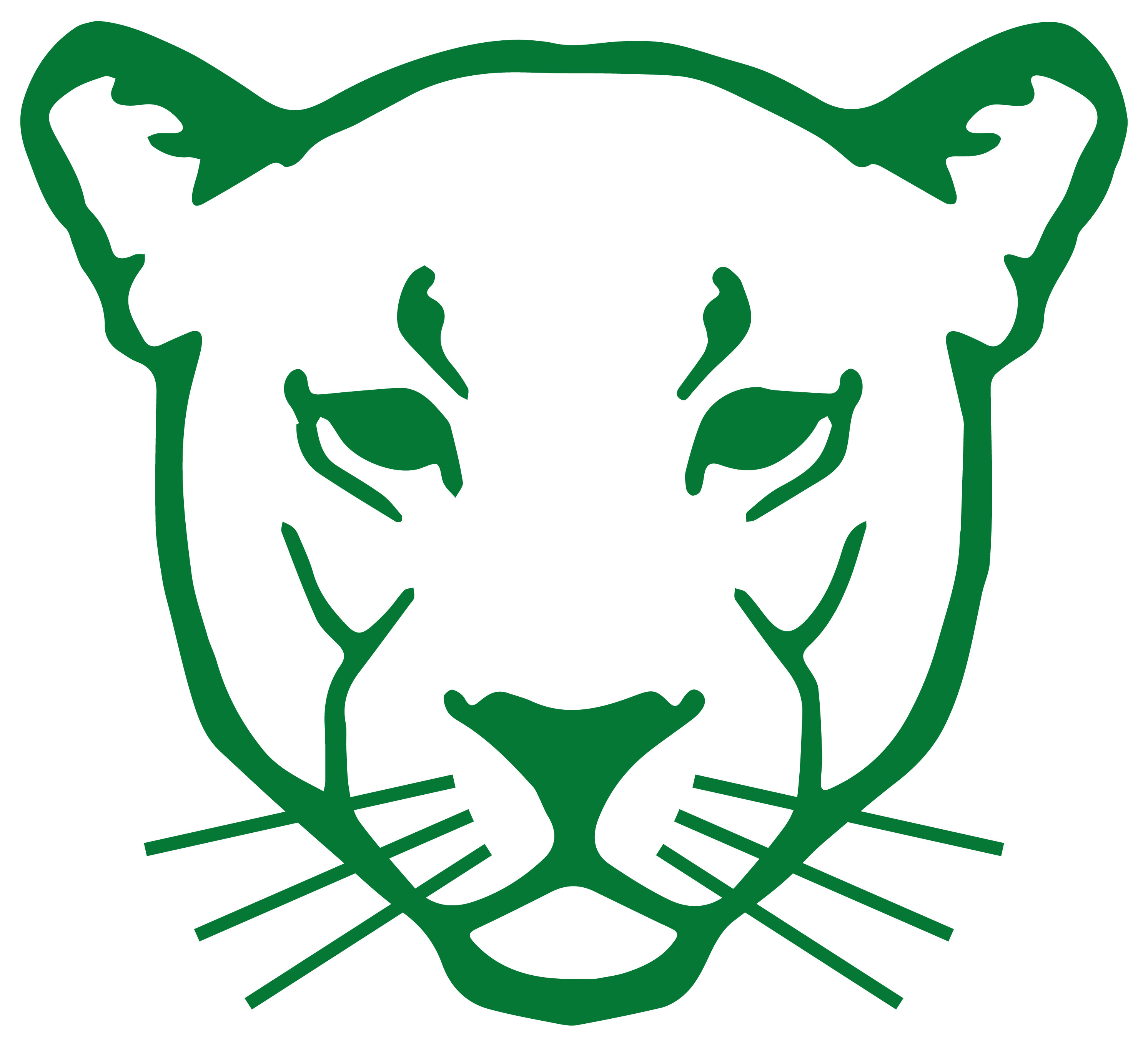 schertz panther