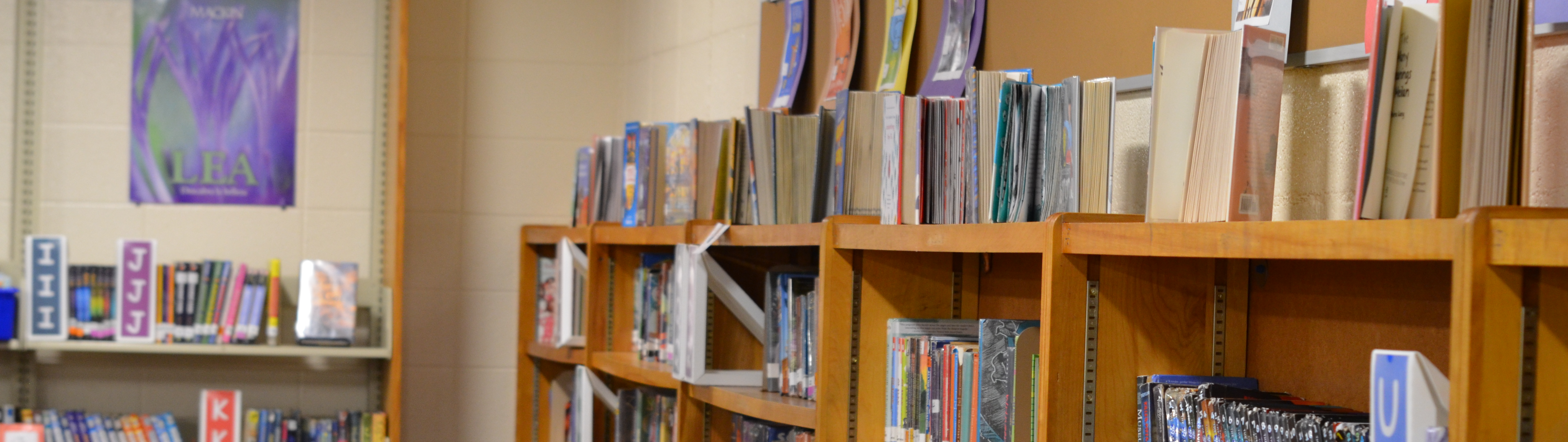 Elton Hills Library Room