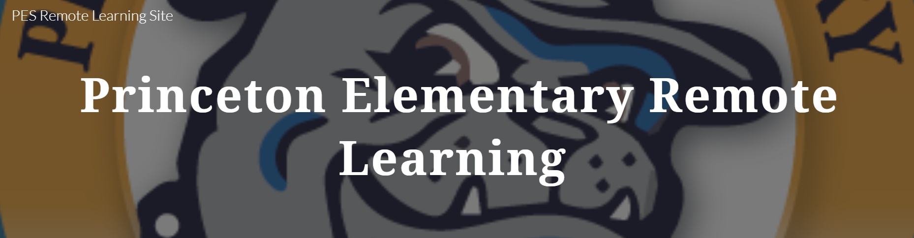 Remote Learning