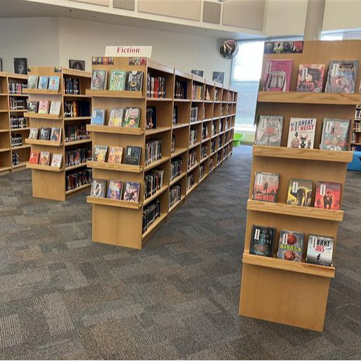 library shelves